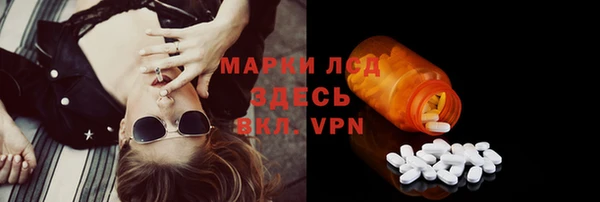 твердый Майский