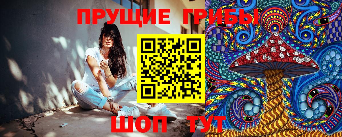 Псилоцибиновые грибы прущие грибы Маркс