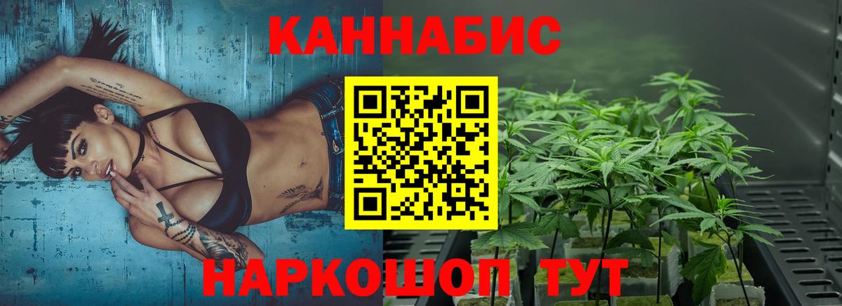 Конопля ГИДРОПОН  Маркс  Шишки марихуана OG Kush 